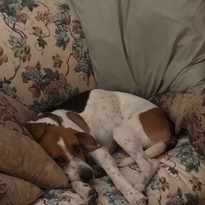 Meet your Posher, Jill